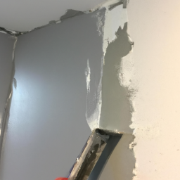 Peinture de Muret Extérieur: Personnalisation et Protection Guidel